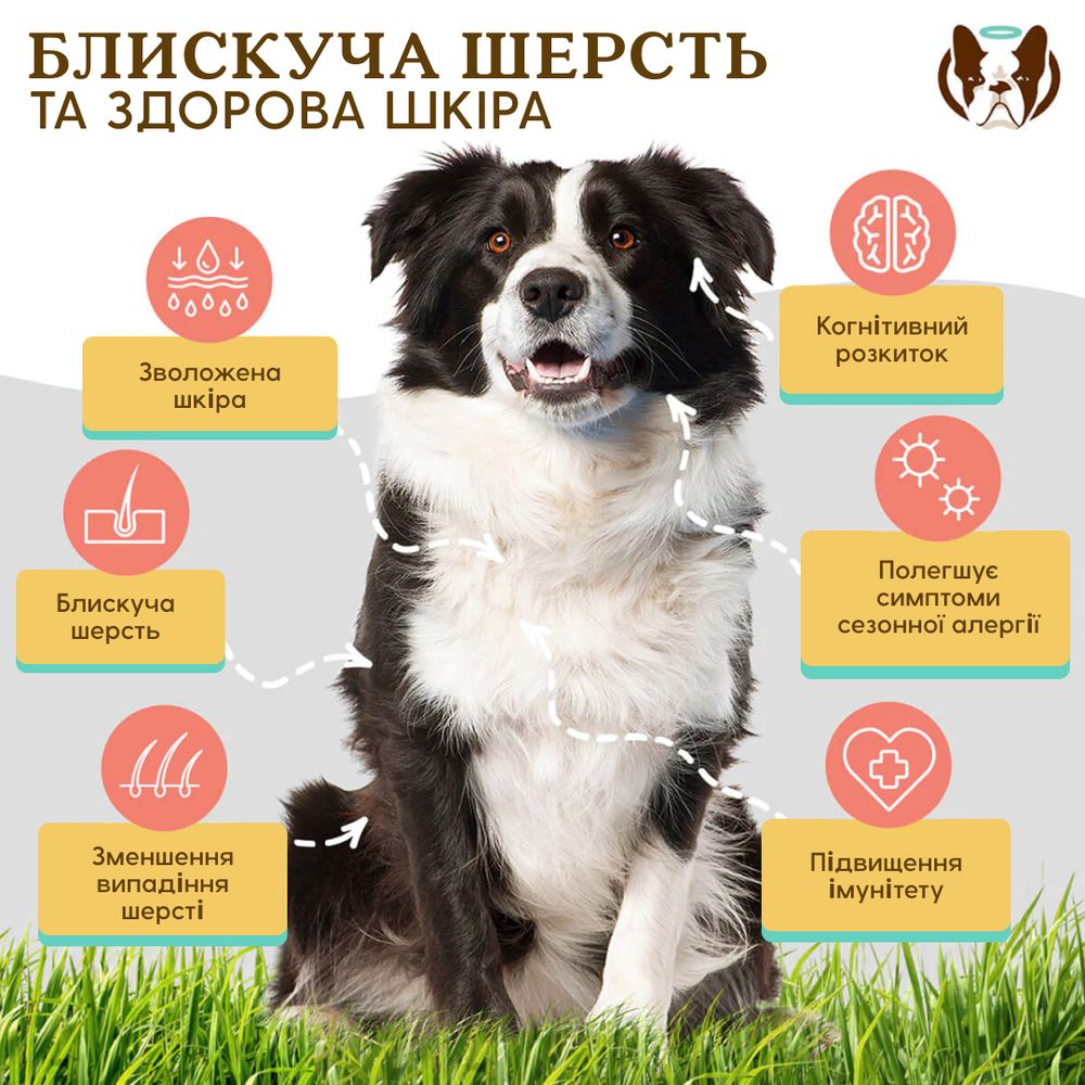 Вітамінний комплекс для шкіри і шерсті собак Skin&Coat Natural Dog Company 90шт в банці