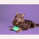 Щітка для вичісування шерсті собак та котів Pet Teezer - Cat Grooming Green