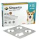 Таблетки Simparica від блох і кліщів для собак вагою 10-20кг, 1шт