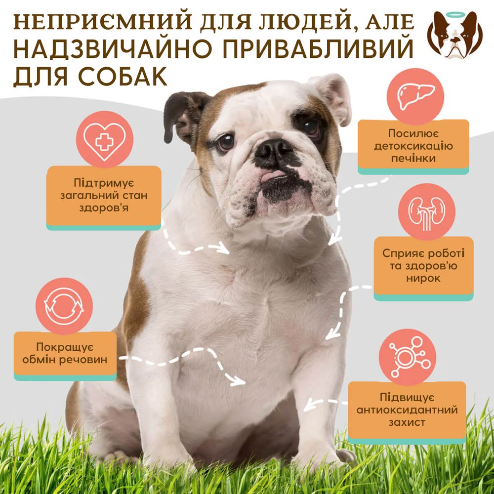 Вітамінний комплекс для печінки та нирок Liver & Kidney Supplement Natural Dog Company, 90шт в банці