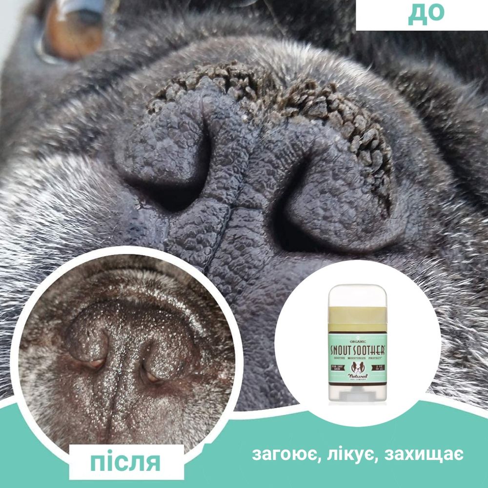 Бальзам для носика Snout Soother Natural Dog Company 59мл стик