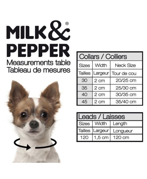 Нашийник шкіряний для собак Milk&Pepper Леопард, Розмір 25x1