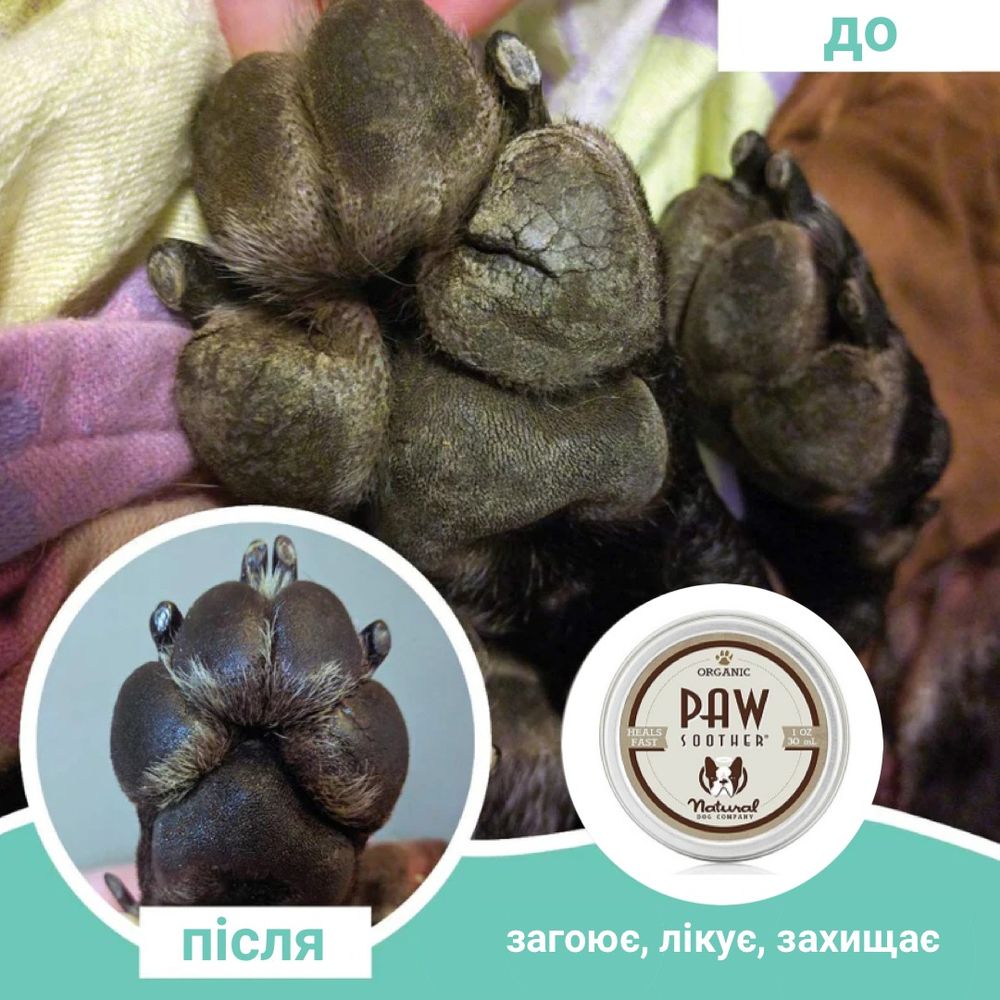 Бальзам проти сухості лапок Paw Soother Natural Dog Company 30мл туба