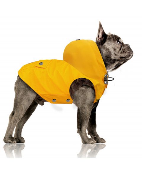Дощовик для бульдога з капюшоном Milk&Pepper Babord Raincoat жовтий, Розмір 38L
