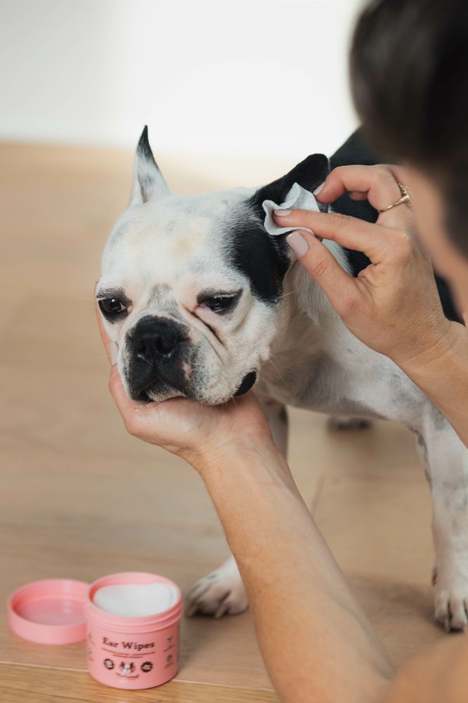 Серветки для гігієни вух Ear Wipes Natural Dog Company 50 шт