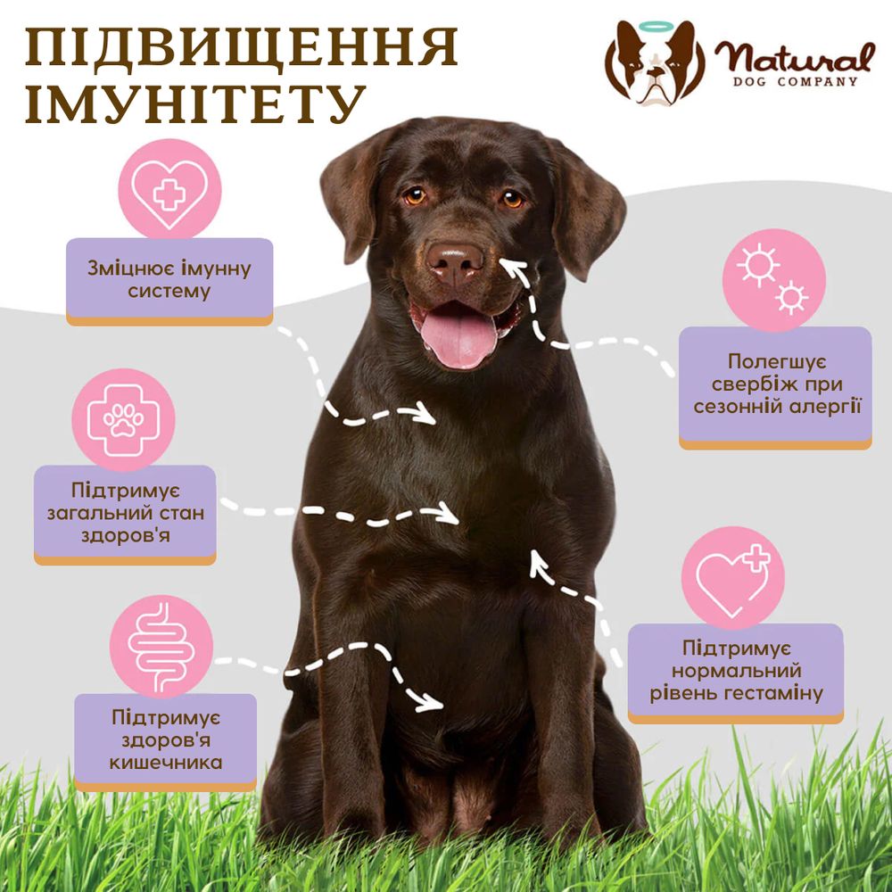 Витаминный комплекс для иммунитета против аллергии Aller-Immune Natural Dog Company, 90шт в банке