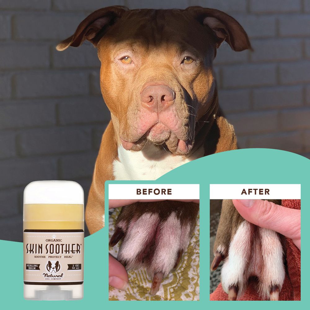 Бальзам для шкіри Skin Soother Natural Dog Company 59мл туба