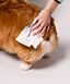 Біорозкладні вологі серветки для собак Natural Dog Company Grooming Wipes розмір XL 50 шт