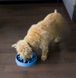 Outward Hound Миска-лабіринт для повільного поїдання «Тетріс» для собак (29.2 x 5.1)