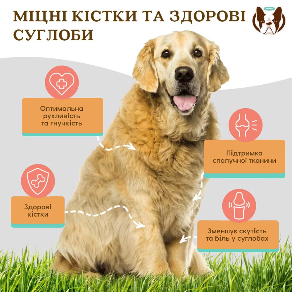 Рідкий глюкозамін Natural Dog Company 480мл