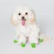 Гумове взуття-шкарпетки для собак PawZ Зелений 12шт Tiny (1.5-2.5см)