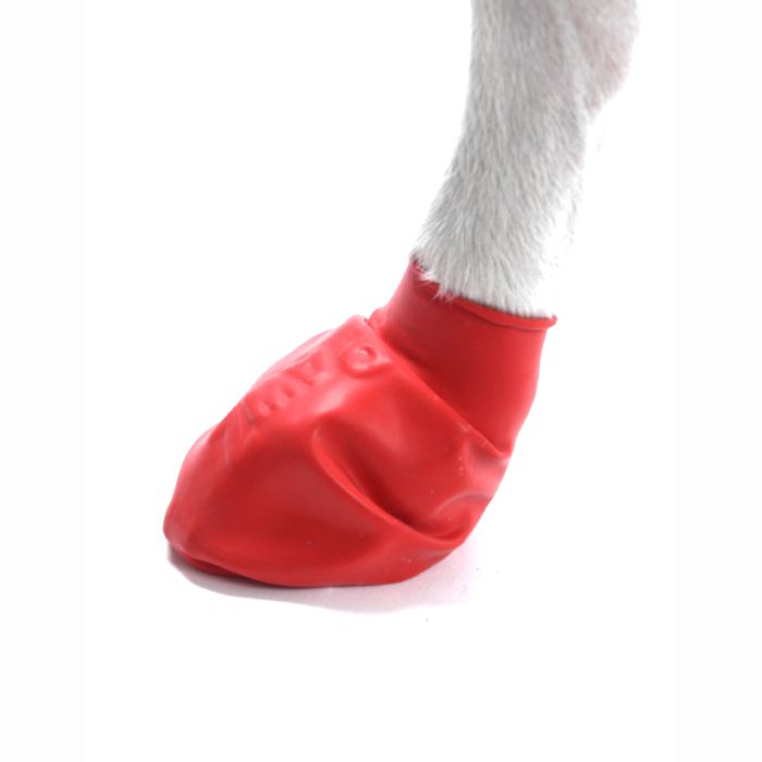 Гумове взуття-шкарпетки для собак PAWZ Червоний 12шт розмір S (5.1-6.3см)