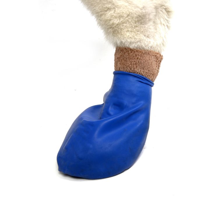 Гумове взуття-шкарпетки для собак PAWZ Синій 12шт розмір M (6.3-7.6см)