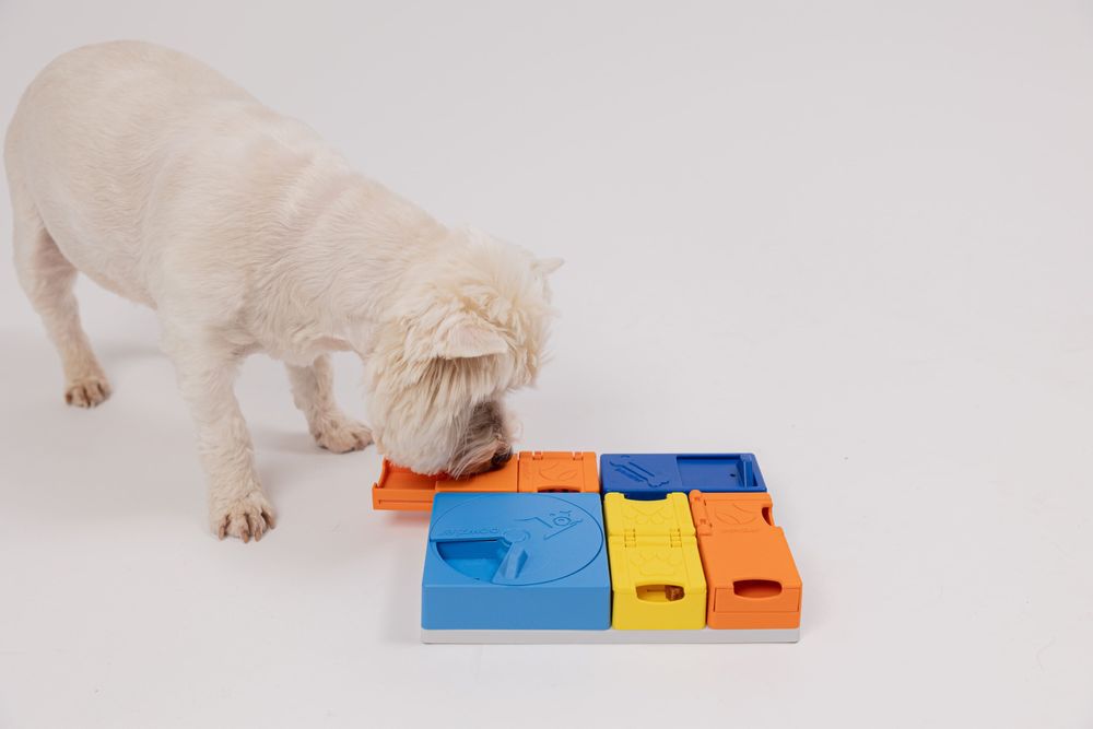 Розвиваюча іграшка конструктор для собак Pawzler Rainbow Set Mini