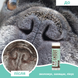 Бальзам для носика Snout Soother Natural Dog Company 4.25мл стік